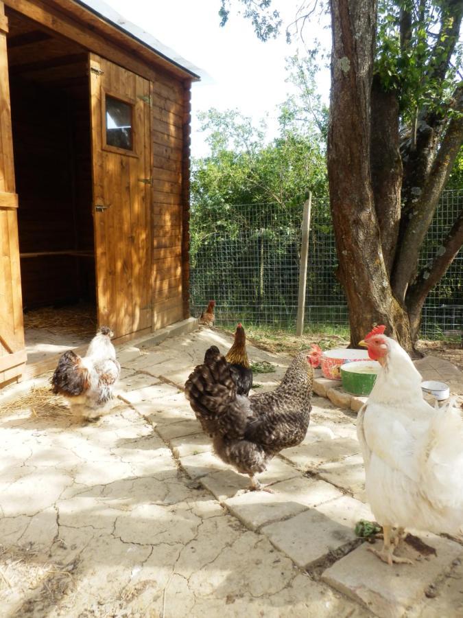 Il Casale Di Sandra Frühstückspension *