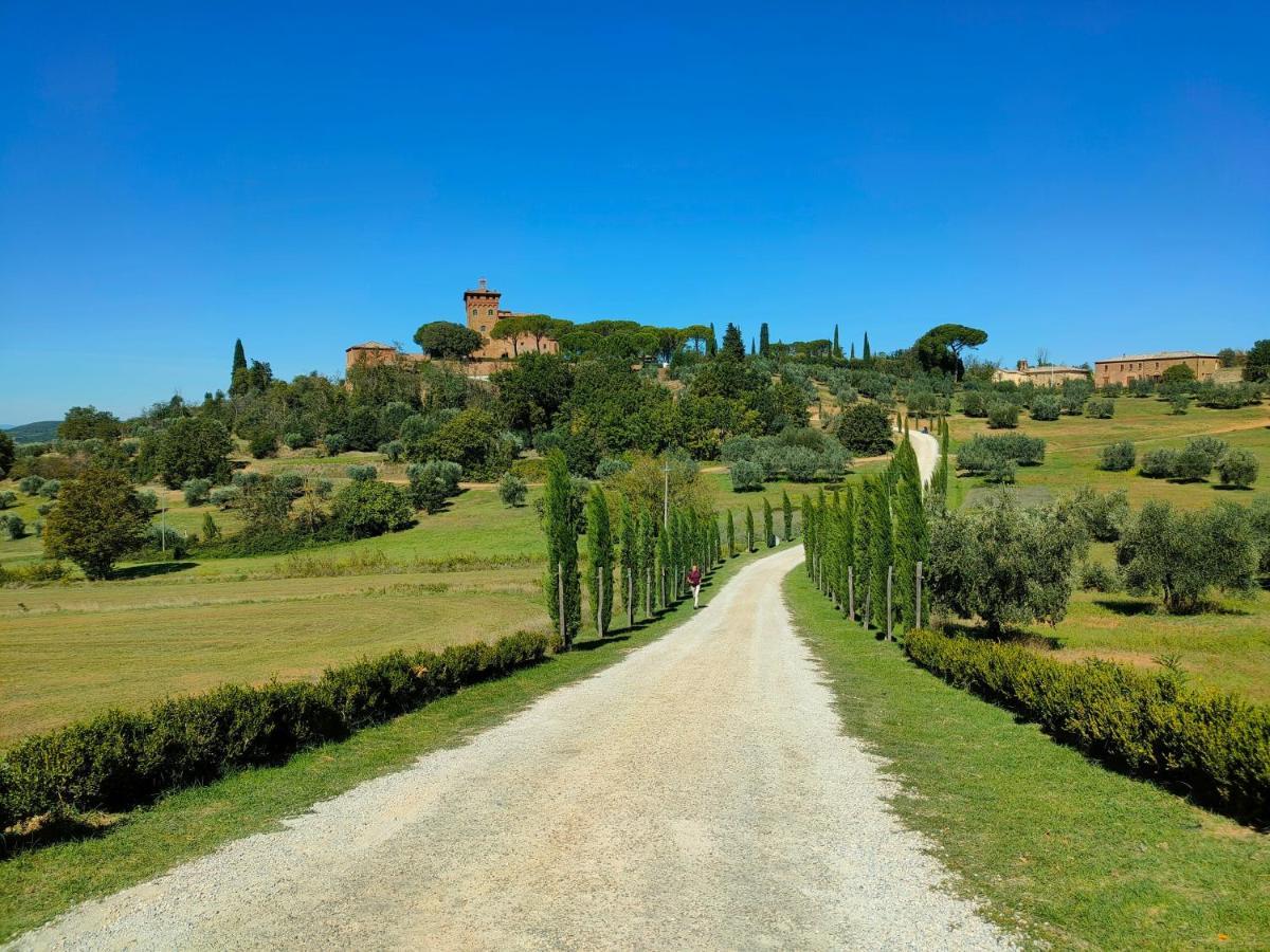 Il Casale Di Sandra Frühstückspension Chiusi