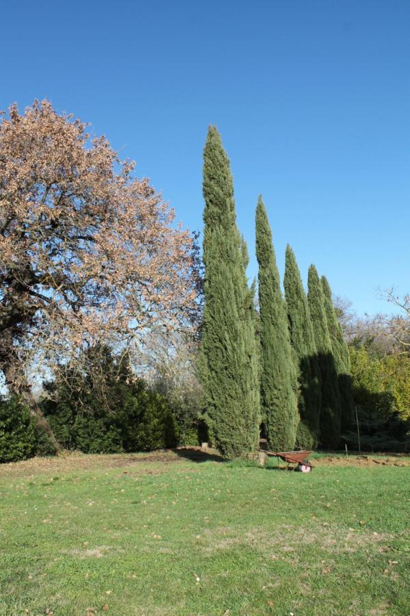 Il Casale Di Sandra Chiusi